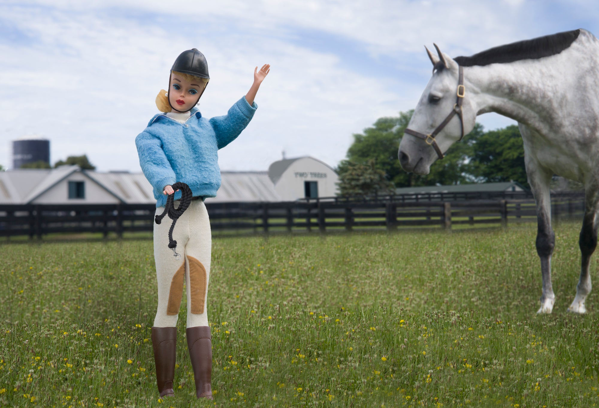 Equine Love (Blond)