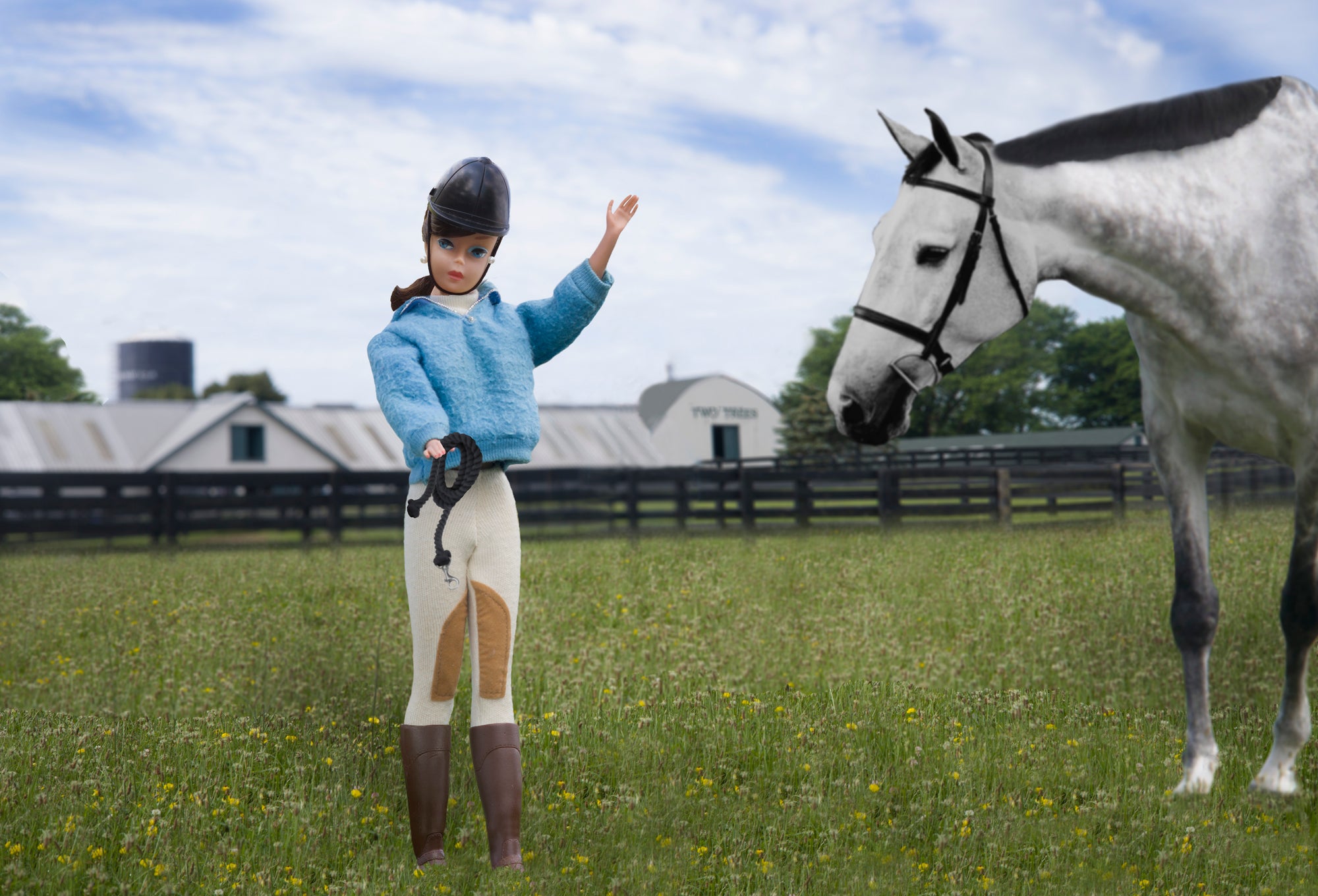 Equine Love (Brunette)