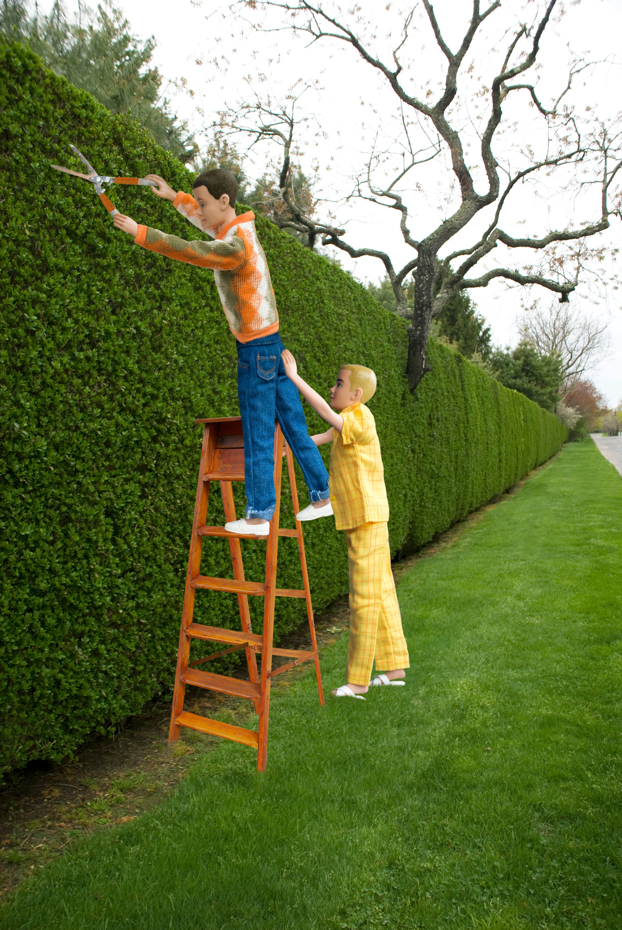 Morning Hedge Trimming